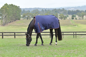 WeatherBeeta ComfiTec Essentials Turnout - Navy/Burgundy (50g)